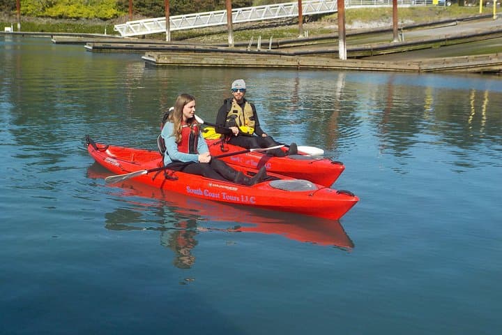 Paddle Brookings: Ocean Kayak Tour at the Chetco River Mouth photo 6