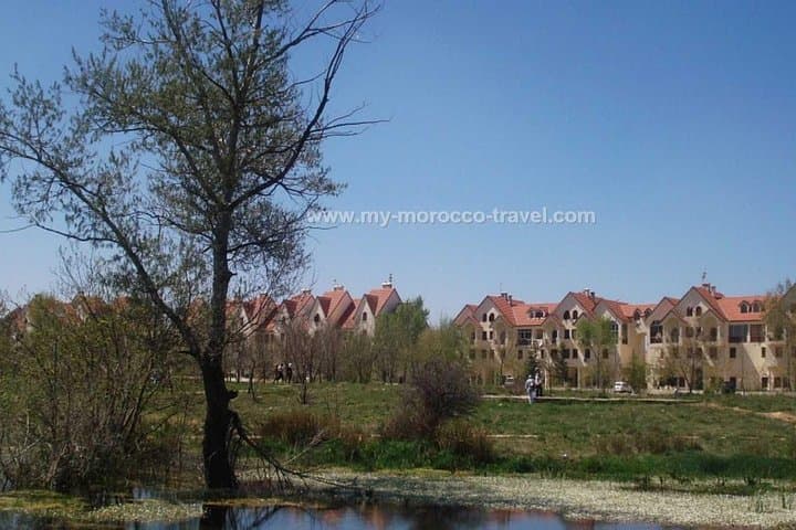Fez to Marrakech via Merzouga: 3-Day Private Sahara Tour with Camel Trek and Desert Camp photo 4