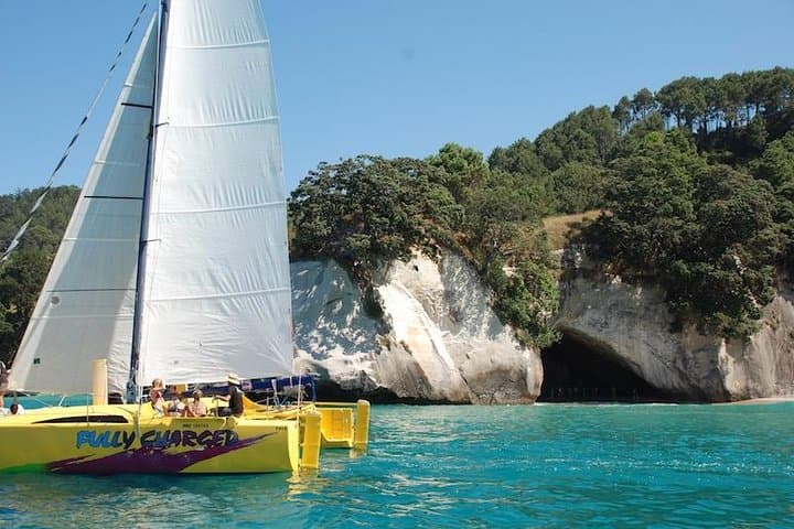 Sail Cathedral Cove: 3.5‑Hour Chilled Catamaran Cruise from Whitianga photo 3