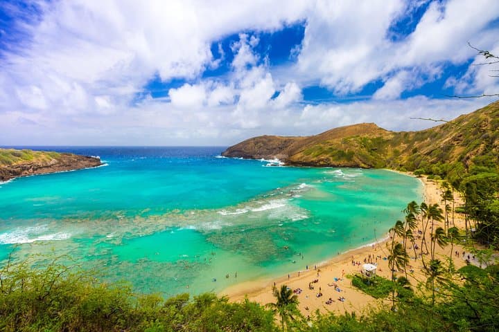 Oahu Grand Circle Island Tour — Full-Day Waikiki to North Shore photo 2
