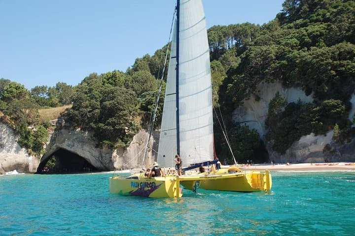 Morning Glory Coromandel Sail to Cathedral Cove — 3.5-Hour Catamaran Cruise