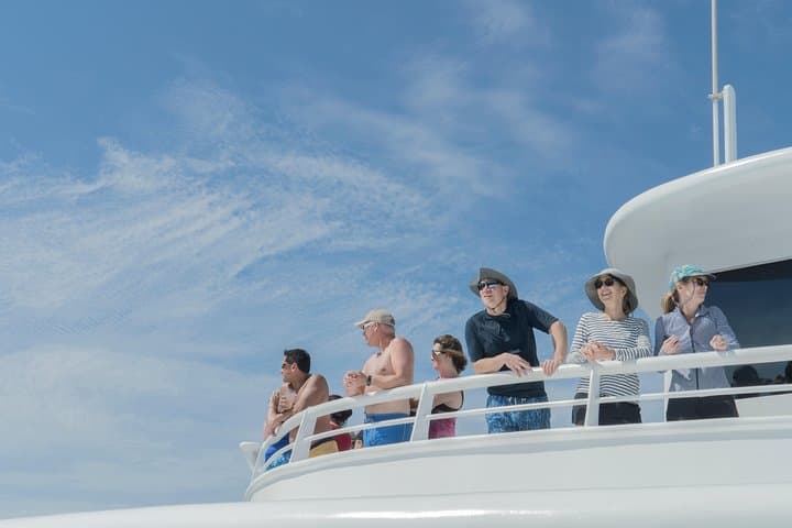 Cabo Whale Watch: Three-Level Vessel to El Arco During Winter Migration photo 5