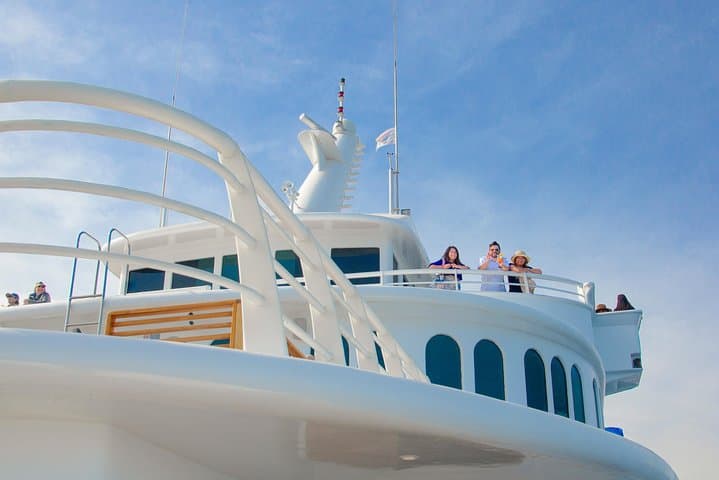 Cabo Whale Watch: Three-Level Vessel to El Arco During Winter Migration photo 6