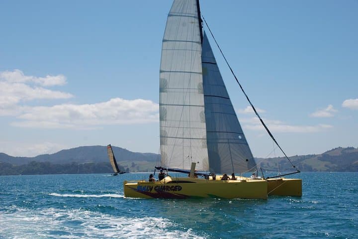 Morning Glory Coromandel Sail to Cathedral Cove — 3.5-Hour Catamaran Cruise photo 6