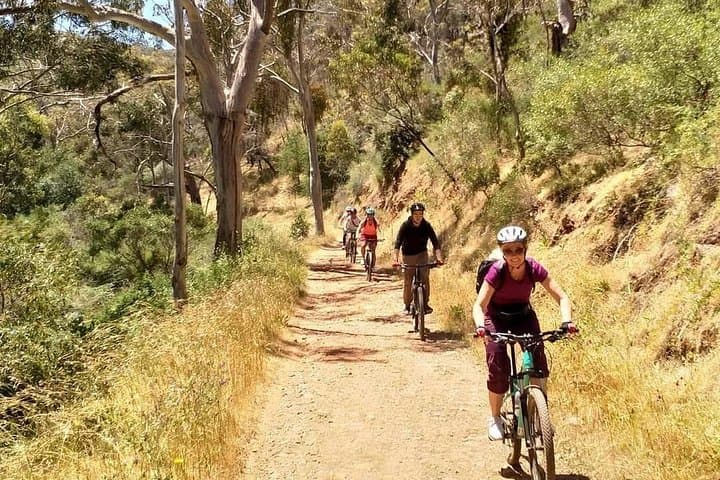 Mount Lofty Descent Bike Tour from Adelaide — Summit-to-Plains Mountain Biking photo 4