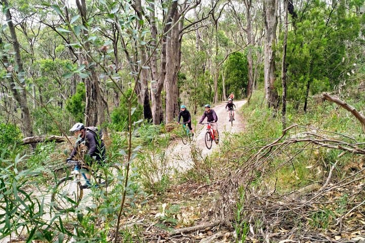 Mount Lofty Descent Bike Tour from Adelaide — Summit-to-Plains Mountain Biking photo 5