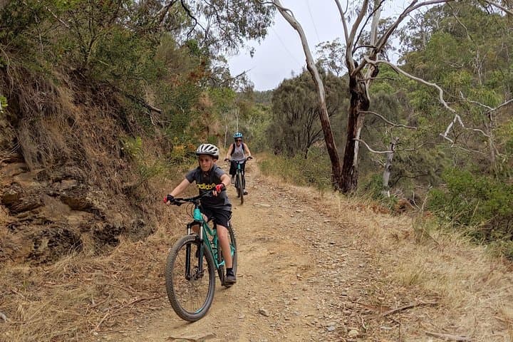 Mount Lofty Descent Bike Tour from Adelaide — Summit-to-Plains Mountain Biking photo 6