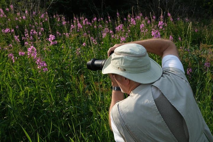 Chilkat Valley Full-Day Photography Tour from Haines — Wildlife & Landscape Workshop