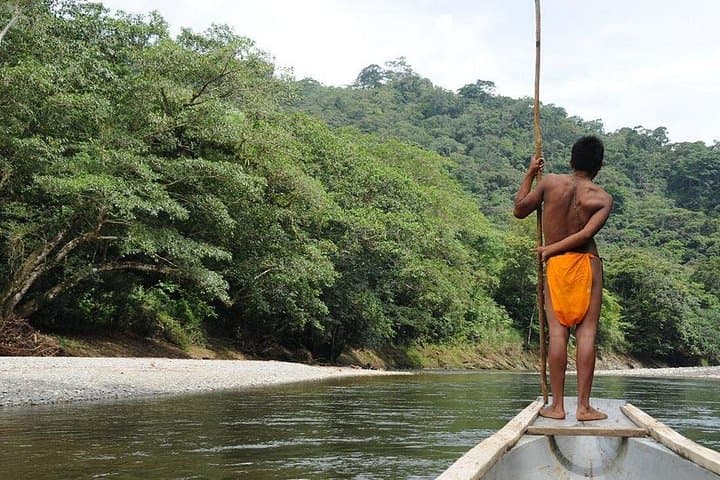 Chagres River Embera Village Tour: Boat, Hike & Waterfall Experience from Panama City photo 3