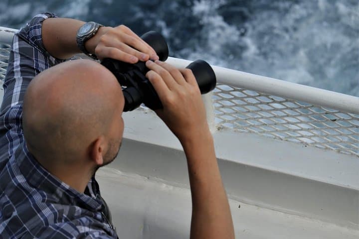 Mission Bay Sunset Cruise: 75-Minute Evening Cruise in San Diego photo 4