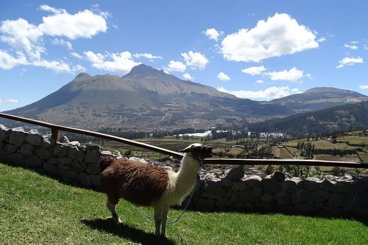 Private Full-Day Otavalo, Cuicocha & Cotacachi Tour from Quito photo 6