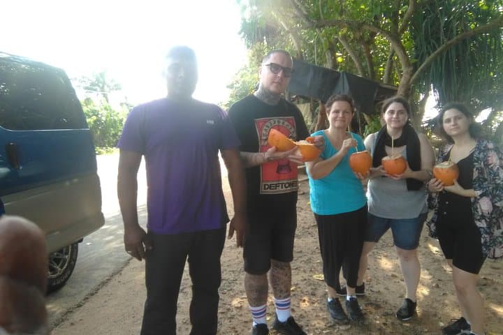Private Day Tour to Sigiriya & Dambulla: Lion Rock, Cave Temples and Village Experience photo 6