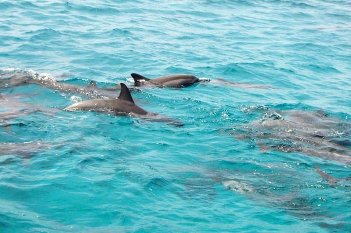 Private Van to Pipa South Coast from Natal — Full-Day Beach & Viewpoint Tour photo 4