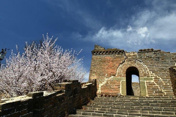 Mutianyu Great Wall Day Trip from Qingdao: Cable Car Up, Toboggan Down photo 2