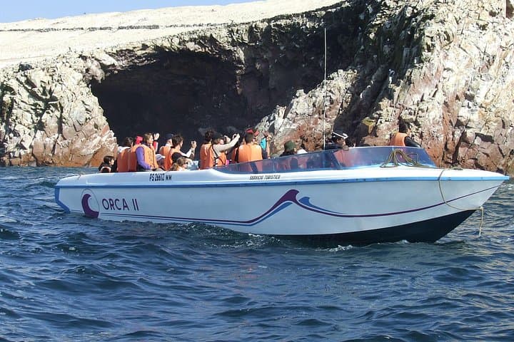 Paracas Full-Day: Ballestas Islands, Paracas National Reserve & Sandboarding photo 2
