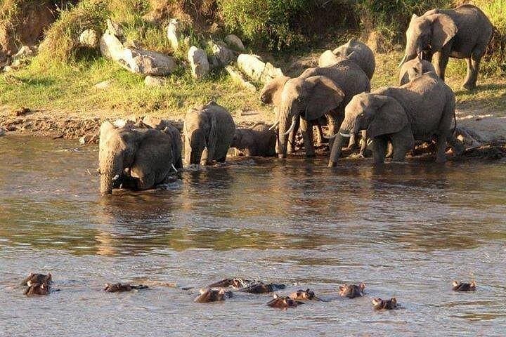 3-Day Tanzania Safari: Ngorongoro, Tarangire & Lake Manyara photo 3