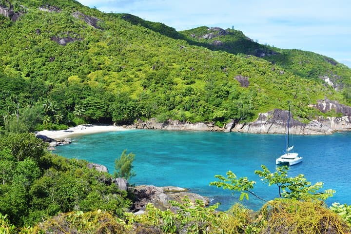 Mahé Private Nature Trail Hike — Panoramic Views & Endemic Wildlife photo 5