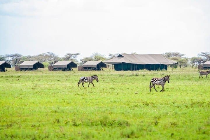 3-Day Serengeti and Ngorongoro Budget Safari: Wild Wonders on a Practical Timeline