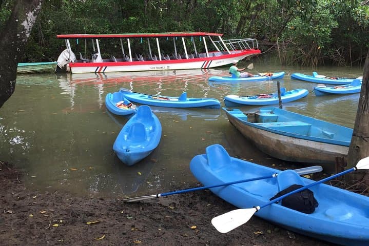 Kayak the Damas Mangroves Near Quepos: 4-Hour Wildlife Paddle photo 2