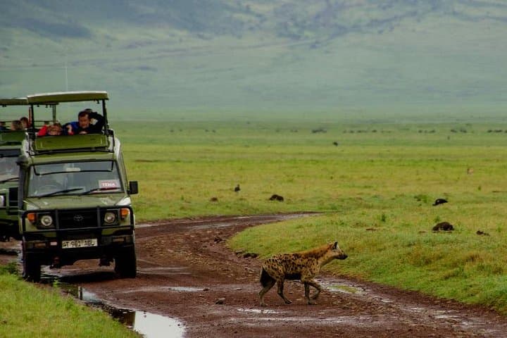Ngorongoro Crater Day Trip: Big Five Safari from Arusha photo 3