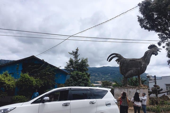 2-Day Dalat VIP Tour: Waterfalls, Cable Car & Countryside Highlights