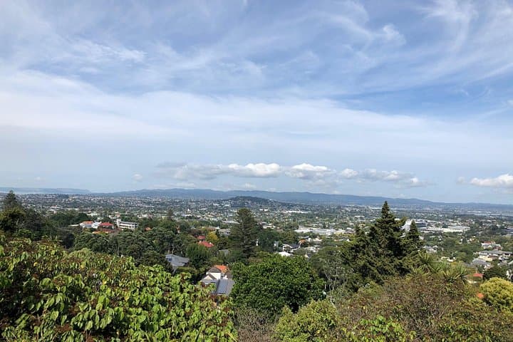 Auckland to Rotorua 2-Day Tour: Waitomo Glowworm Caves, Hobbiton & Te Puia photo 4