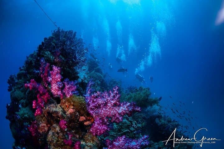 Scuba Dive the S.S. Yongala Wreck: Top Great Barrier Reef Wreck Dive from Townsville