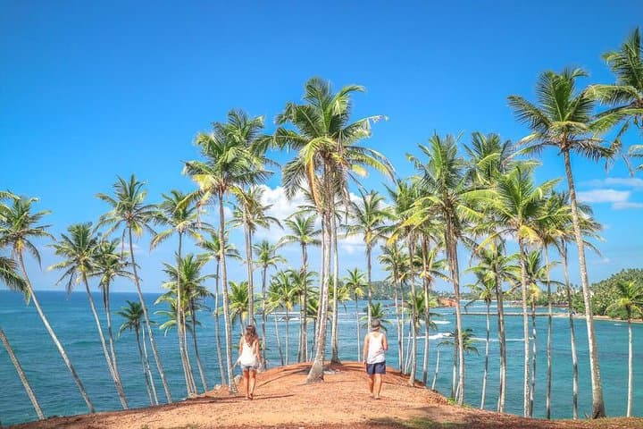 10-Day Dream Path of Sri Lanka: Private Cultural, Tea-Country & Wildlife Tour photo 6