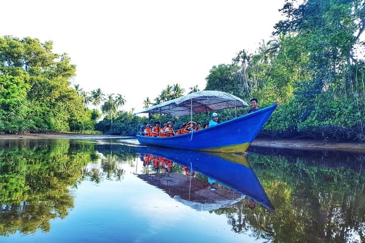 Sky-Mirror Sunset Cruise: Proboscis Monkeys, Mangroves & Fireflies near Kota Kinabalu photo 2
