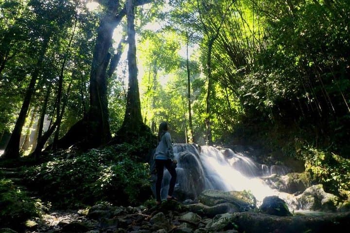 Phang Nga Bamboo Rafting & Jungle ATV Adventure from Phuket photo 5