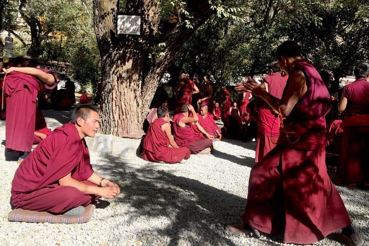 Tibet 8-Day Tour: Lhasa to Everest Base Camp — Itinerary, Permits & Practical Guide photo 4