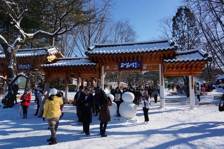 Private Tour: Organic Strawberry Farm, Nami Island & Petite France Day Trip from Seoul photo 4