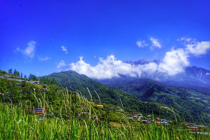 Kota Kinabalu ATV Riding & Dairy Farm at Mount Kinabalu — ATV, Paragliding and Farm Tour photo 6