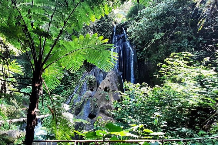 Bali Waterfall in One Day: Hidden Cascades & Natural Pools from Ubud photo 4