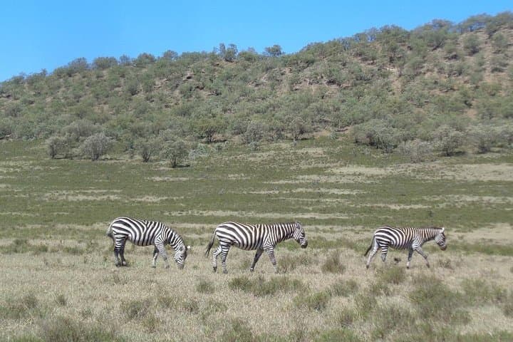 Cycle and Walk Hells Gate: Day Trip from Nairobi into the Rift Valley photo 4