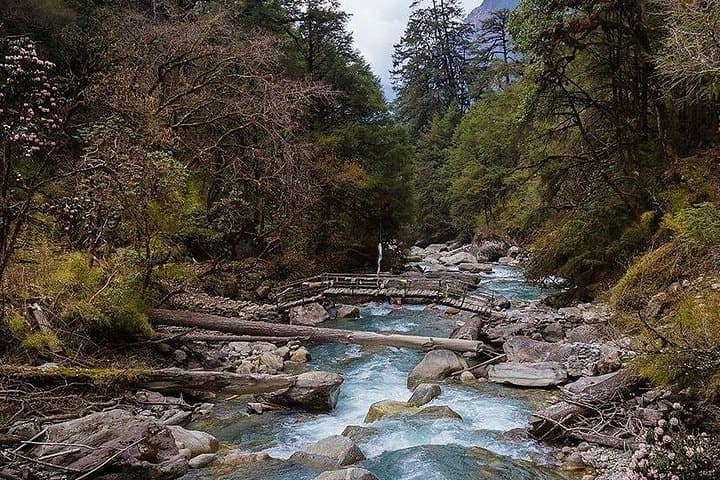 Langtang Valley Trek: 8-Day Kyangjin Gompa & Tserko Ri Adventure
