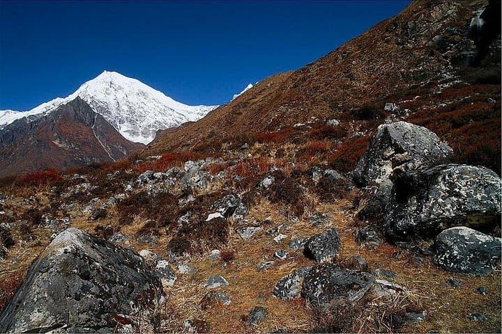 Langtang Valley Trek: 8-Day Kyangjin Gompa & Tserko Ri Adventure photo 2