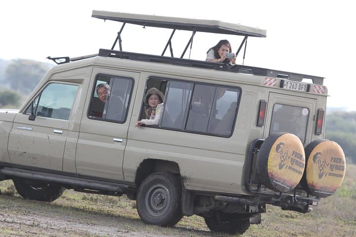 Inside Ngorongoro Crater: Full-Day Safari from Arusha photo 5
