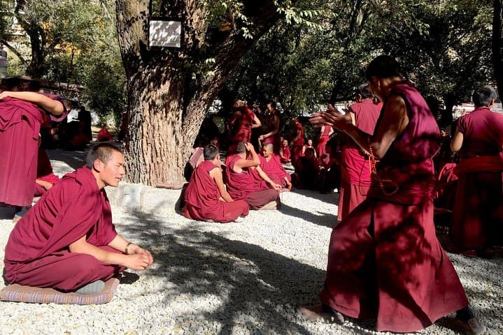 4-Night Lhasa & Yamdrok Lake Explorer — Potala, Monasteries & High-Altitude Scenery photo 6