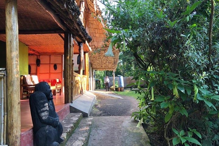 3-Day Bwindi Gorilla Trekking Safari: Track Mountain Gorillas in Uganda photo 3