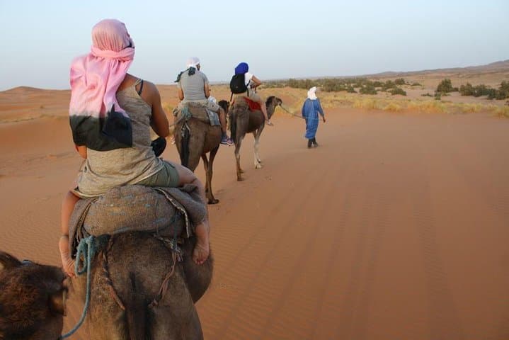 Zagora Desert Tour from Marrakech: 2-Day Camel Trek & Overnight Sahara Camp photo 2