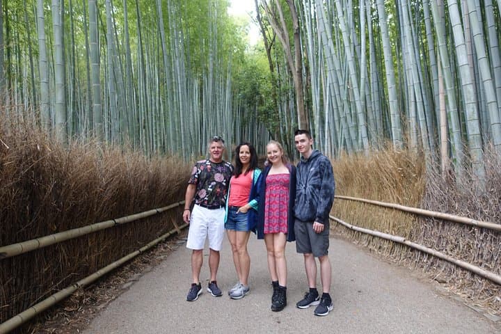Kyoto VIP Private Tour — Custom Gardens, Temples & Chauffeured Sightseeing photo 2