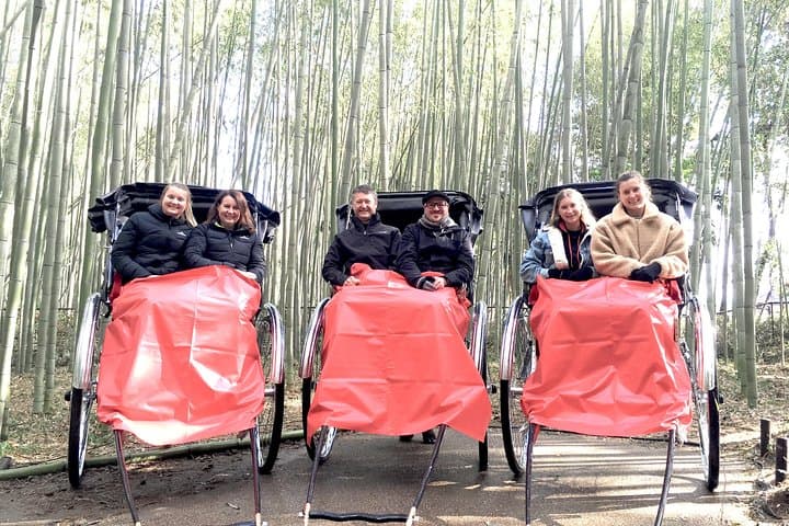 Kyoto VIP Private Tour — Custom Gardens, Temples & Chauffeured Sightseeing photo 3