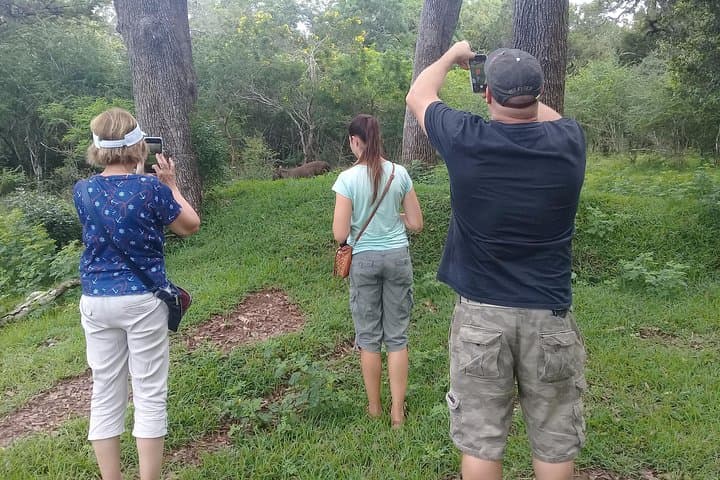 Trincomalee to Wilpattu: Full-Day Leopard Safari and Kanniya Hot Springs photo 4