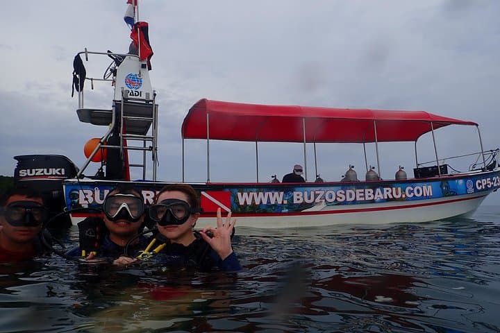 Discover Scuba Diving off Barú: Half-Day Guided Dives from Cartagena