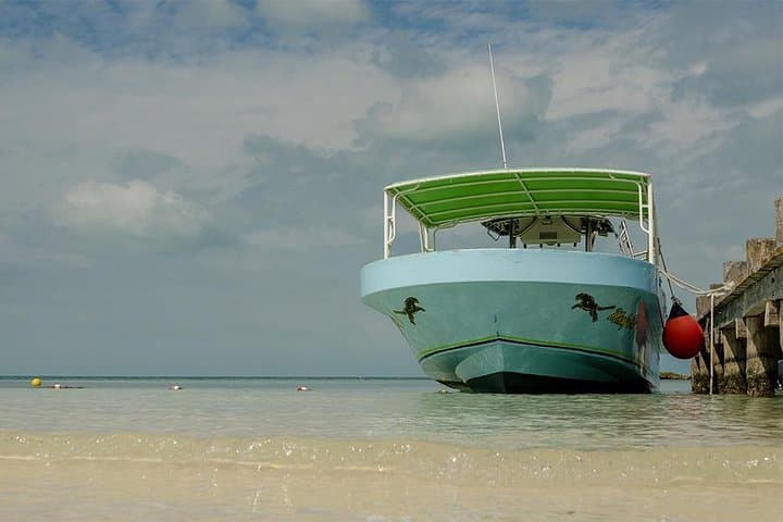Isla Contoy Day Trip: Snorkel Turquoise Reefs & Watch Nesting Birds from Cancún photo 3
