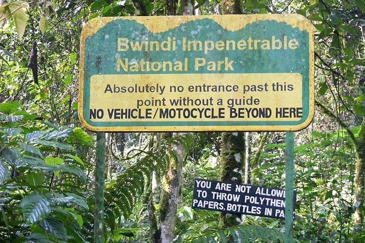 2-Day Bwindi Gorilla Trekking Adventure from Kigali photo 2