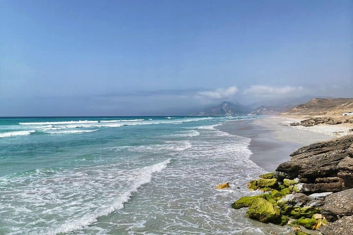 Half-Day West Salalah: Al Mughsail Blowholes, White Beach & Frankincense Trees photo 2