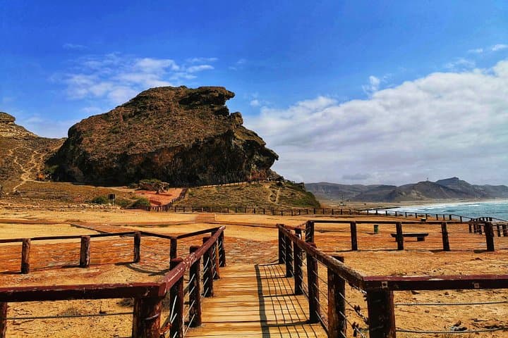 Half-Day West Salalah: Al Mughsail Blowholes, White Beach & Frankincense Trees photo 3