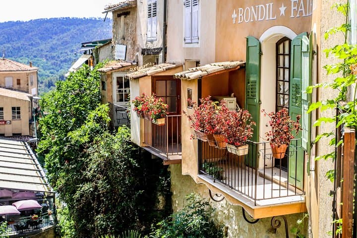 Full-Day Provence Lavender Fields & Verdon Gorge Private Tour from Nice photo 6